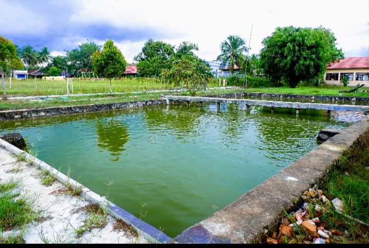 Perikanan dan Perternakan